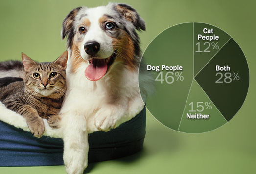 Lavishing on Pets Do Americans Love Their Pets Too Much? Animals